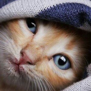 Meet your Posher, Joanne